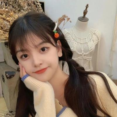 使君有妇